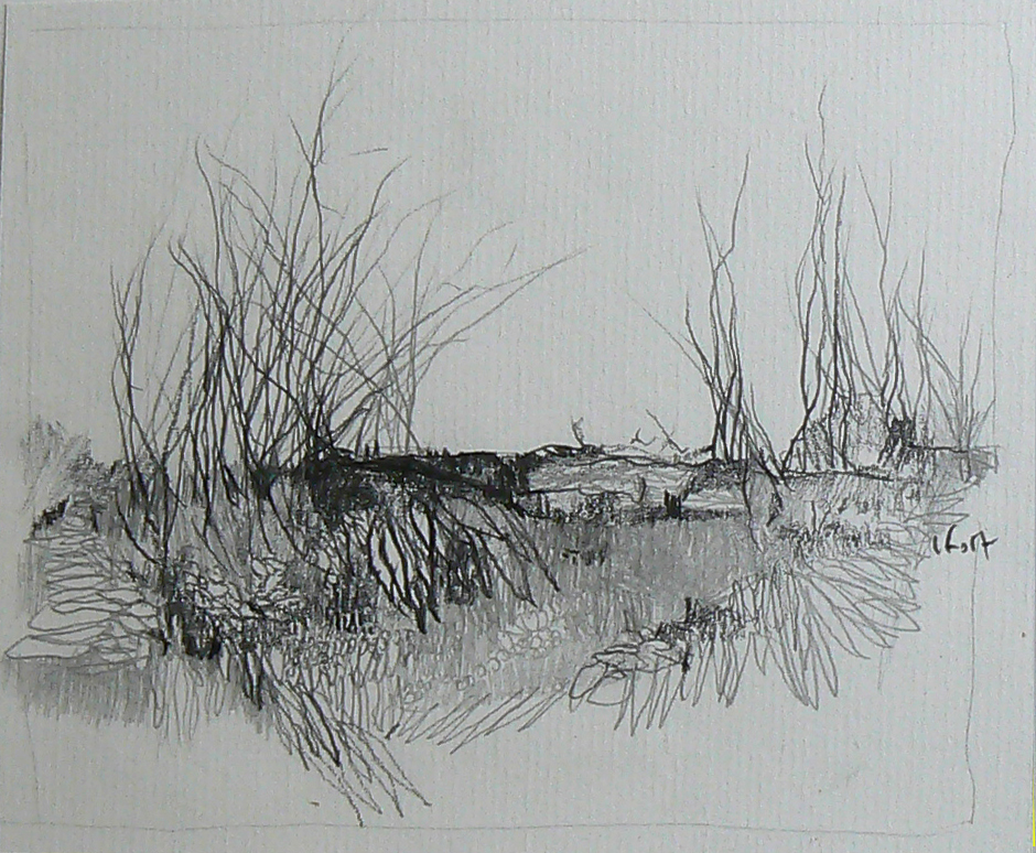 Un travail autour du conflit 1914-18. Christine FORT travaille essentiellement sur l'actualité et a produit cette série de paysages où le noir et autres formes esseulées font sens.