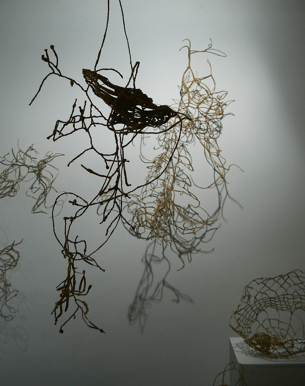 EXPO &laquo;&nbsp;TRANS-FORMER&nbsp;&raquo;