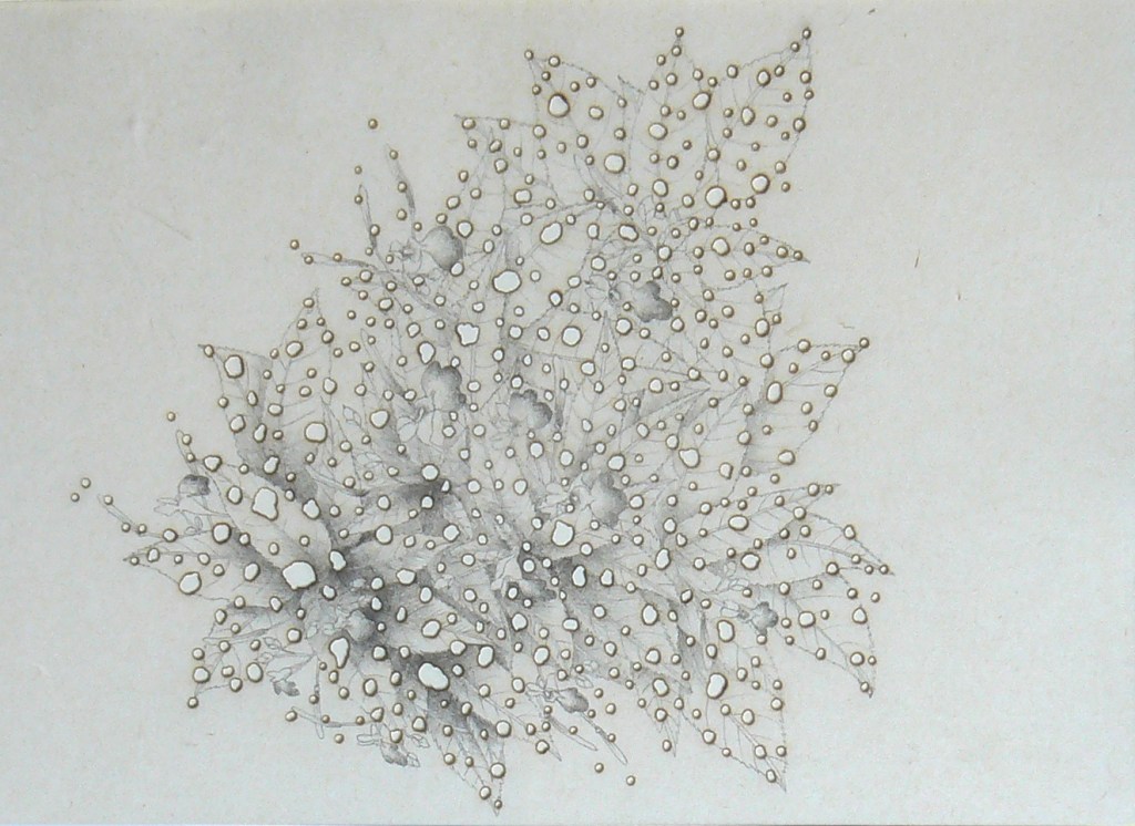 Nouvelles œuvres à l&rsquo;artothèque